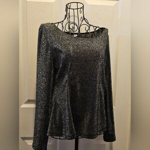 NWOT Divided Shimmering Blouse